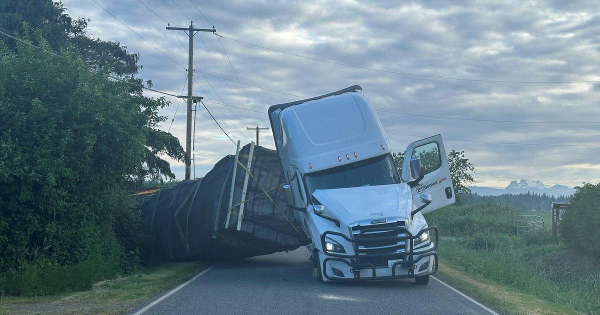 250 million bees escape after truck overturns in Washington state