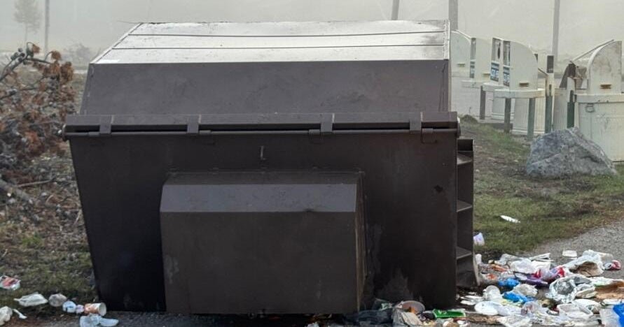 400-pound grizzly trapped and killed in Yellowstone after seeking food and flipping bear-resistant dumpsters
