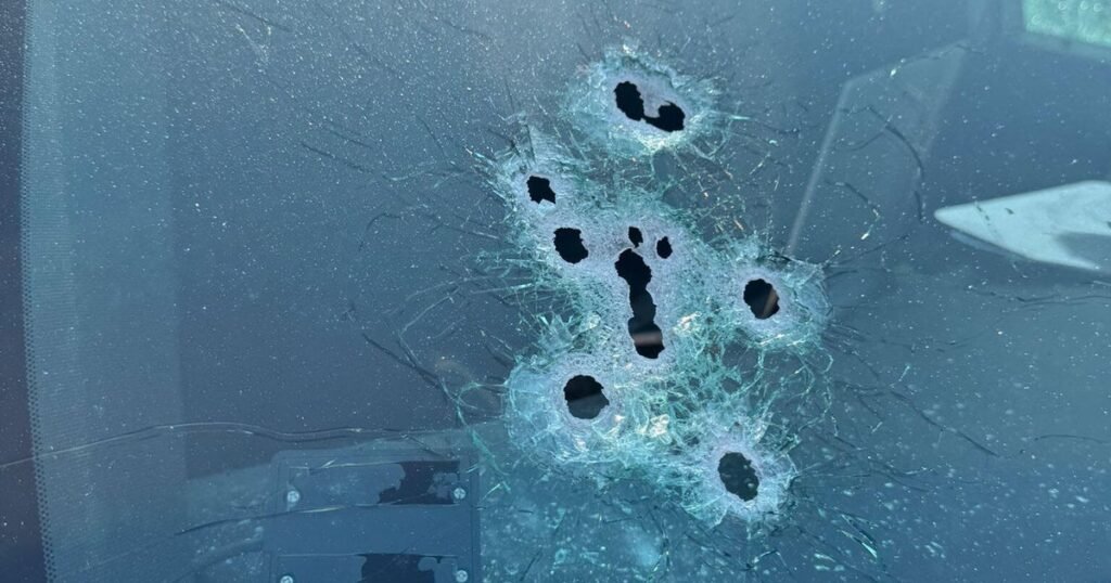 Man shot and killed by Florida sheriff’s deputies in confrontation after apparent alligator attack
