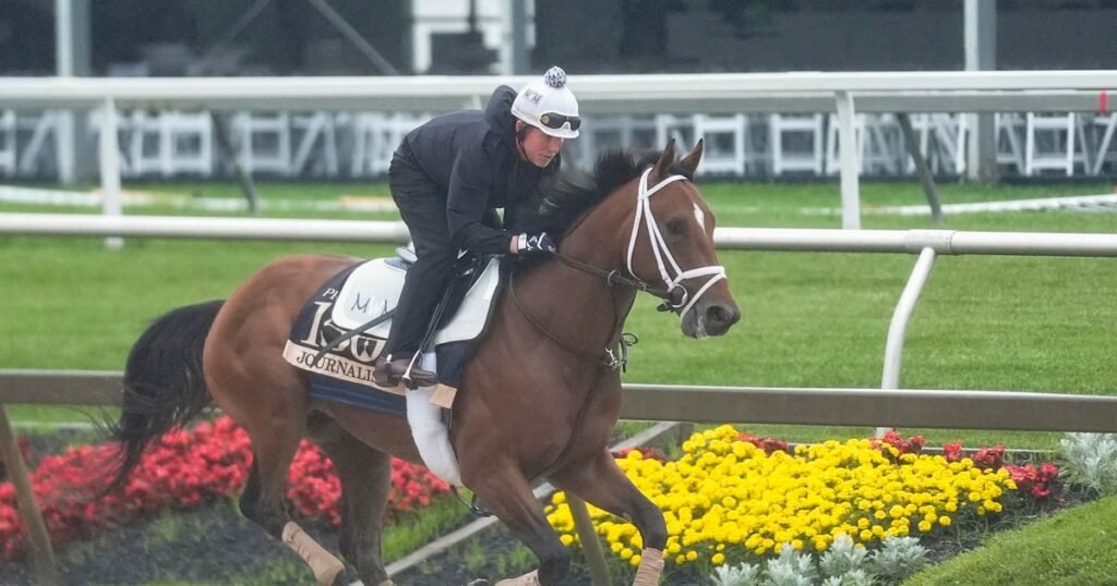 Meet the Preakness Stakes horses running in the 2025 race