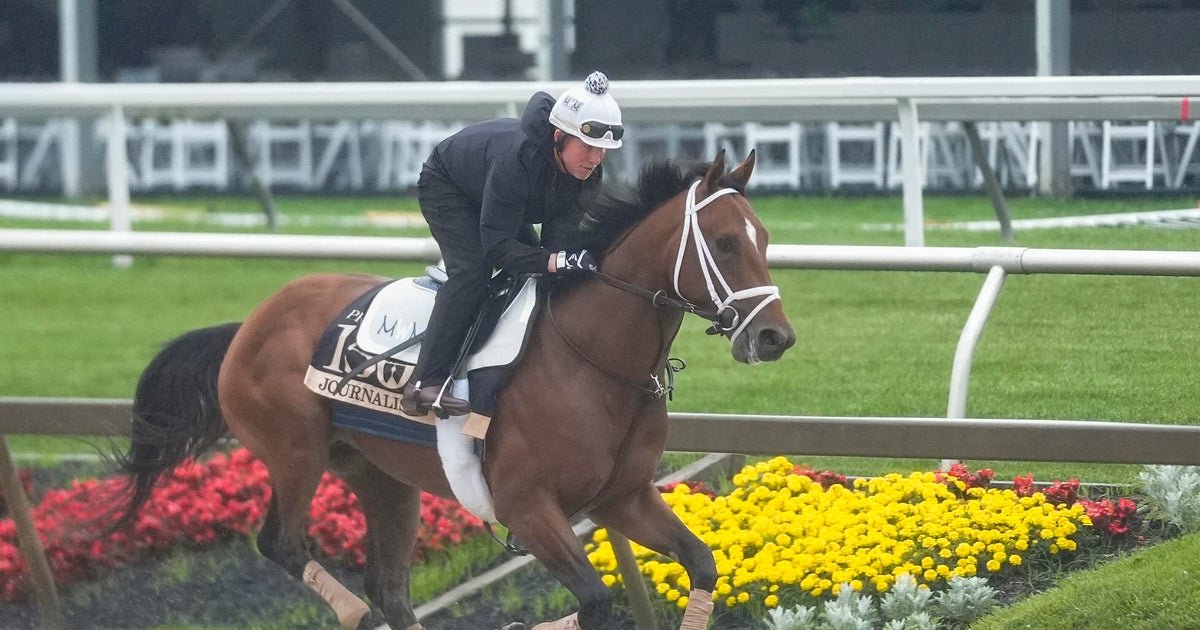 Meet the Preakness Stakes horses running in the 2025 race