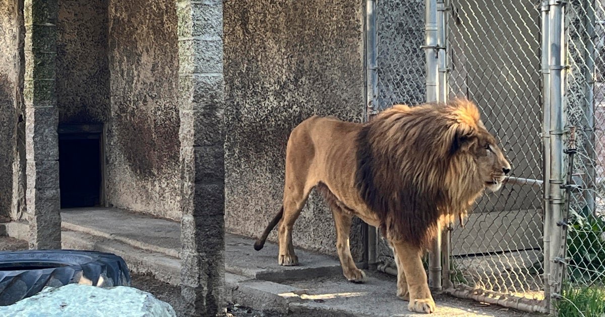 Oregon zoo owner arrested after raid uncovered meth, cocaine, firearms and .6M