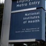 RFK Jr. told Congress no working scientists were fired, but these top NIH brain scientists are still facing job cuts