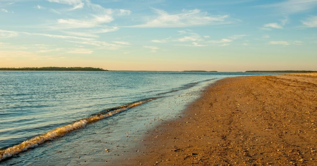 South Carolina beachgoers find skeletal remains that may be linked to