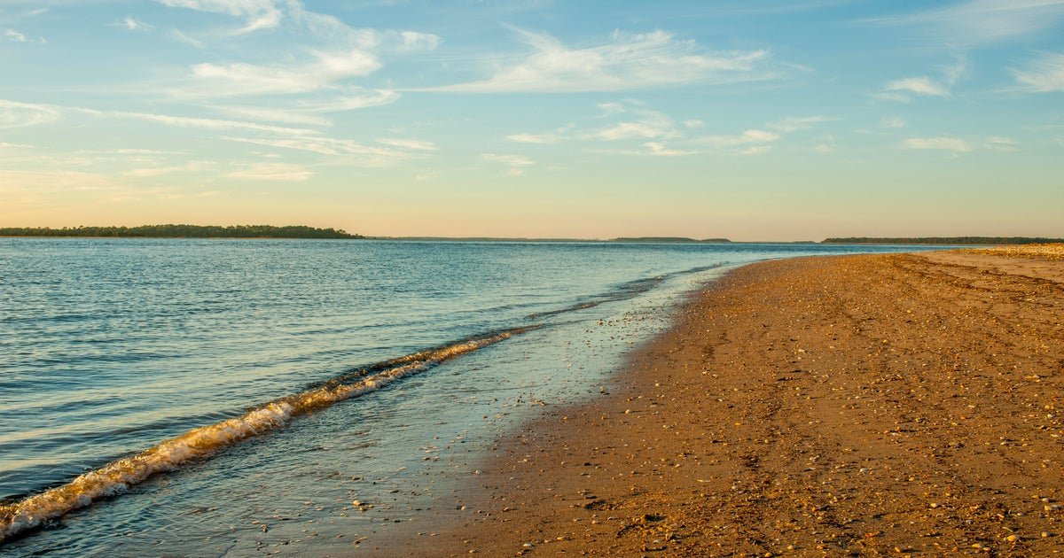 South Carolina beachgoers find skeletal remains that may be linked to
