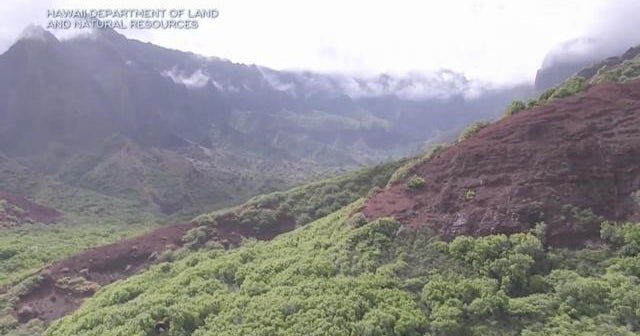 Seven dead in Hawaii helicopter tour crash