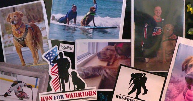 A debt to a service dog