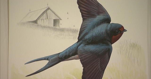 Artist David Sibley: For the birds