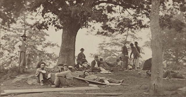 Civil War witness trees