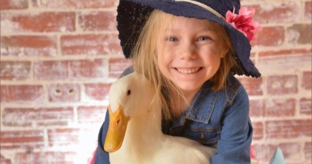 Mothering a duck