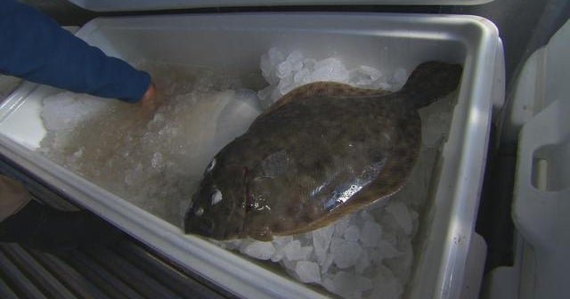The future of fishing may be more diverse The future of fishing may be more diverse
