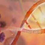 World Pancreatic Cancer Day brings attention to one of the deadliest cancers