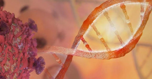 World Pancreatic Cancer Day brings attention to one of the deadliest cancers